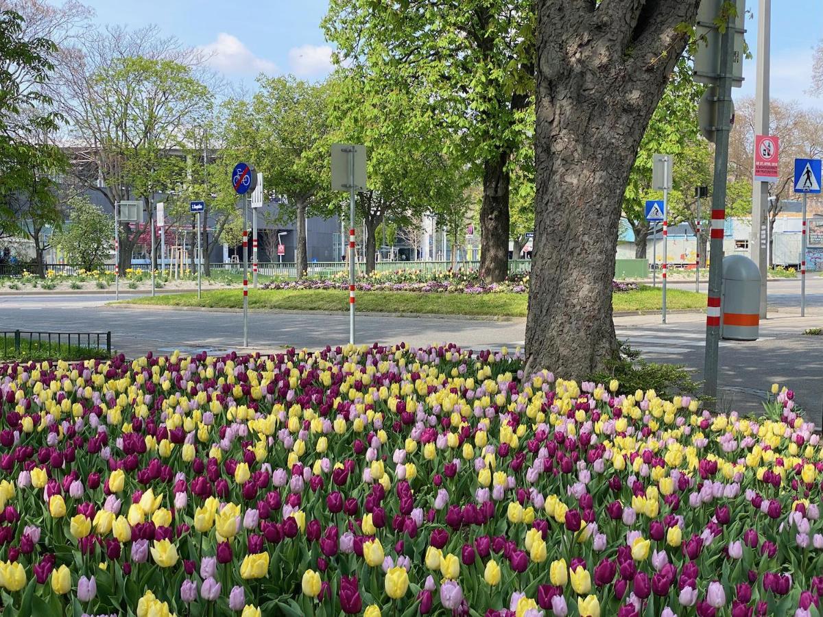 Апартаменты Magic Vienna Right Next To The Prater! Экстерьер фото